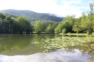 Lac de Saint-Pé