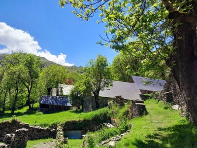 Une ambiance tranquille aux granges de Labach