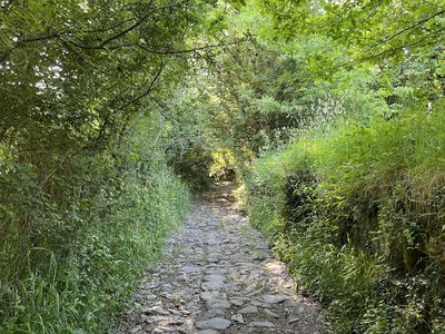 Vestige de la voie romaine