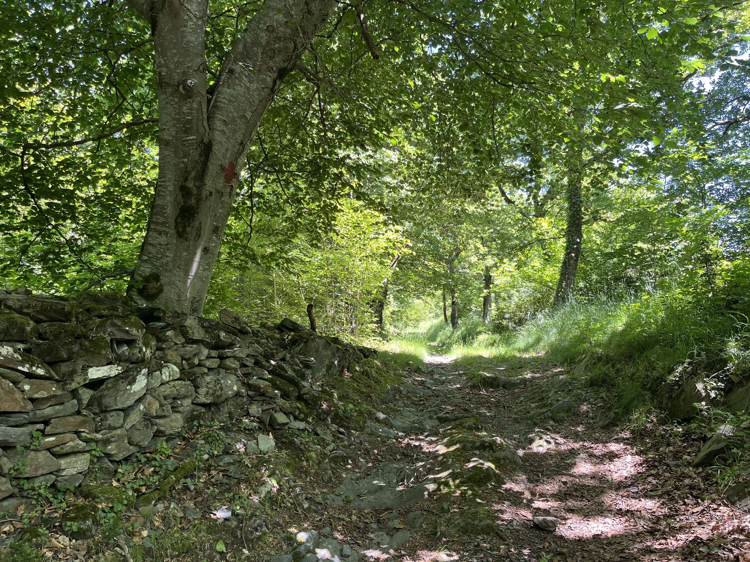 Montée en direction de la chapelle d’Esputs