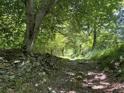 Montée en direction de la chapelle d’Esputs