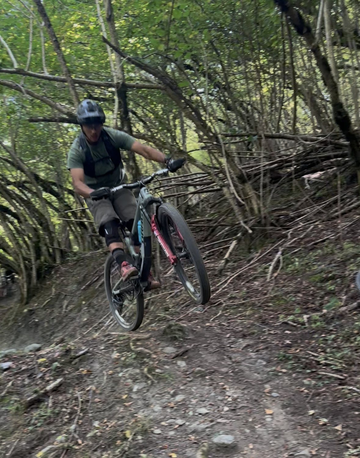 Descente fun en forêt