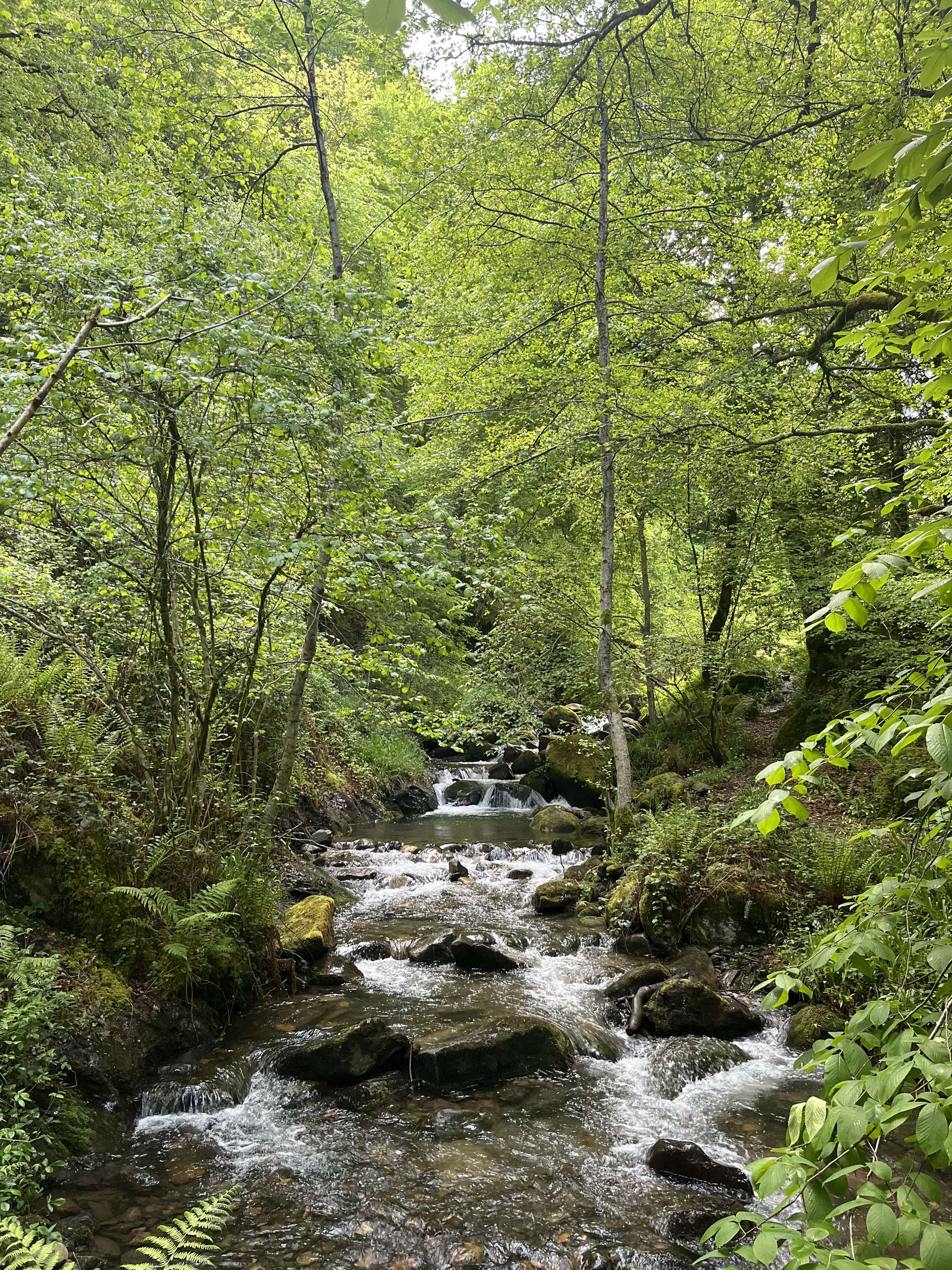 Ruisseau de Marignac