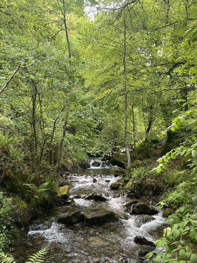 Ruisseau de Marignac