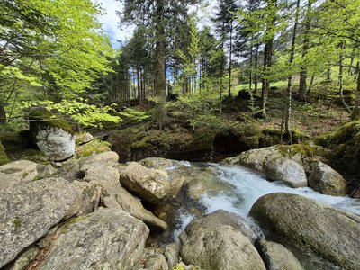 Le murmure du ruisseau Houradade