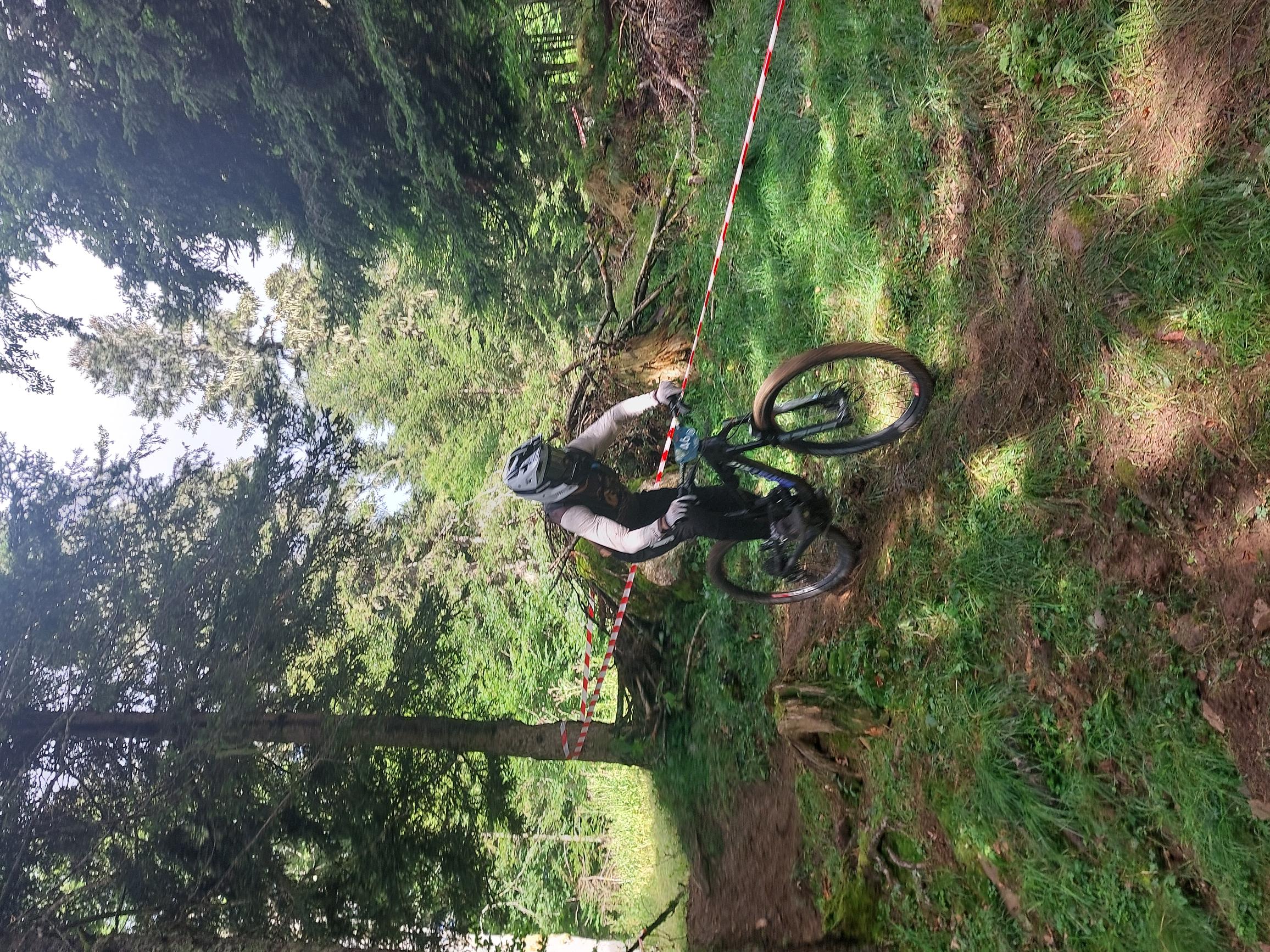 Sensations fortes au cœur de la forêt