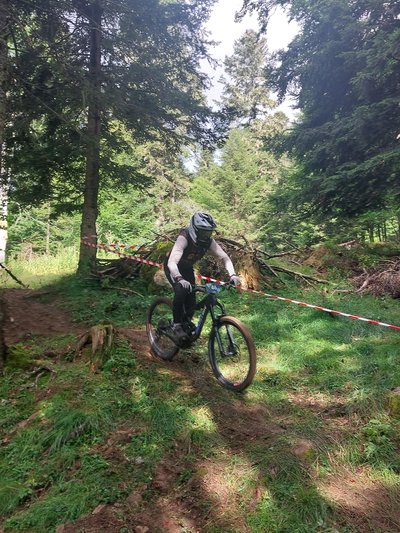 Sensations fortes au cœur de la forêt