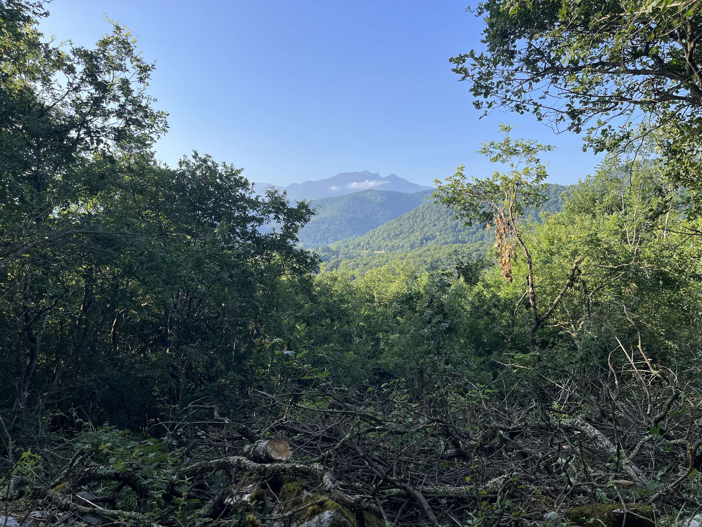 Petite fenêtre paysagère