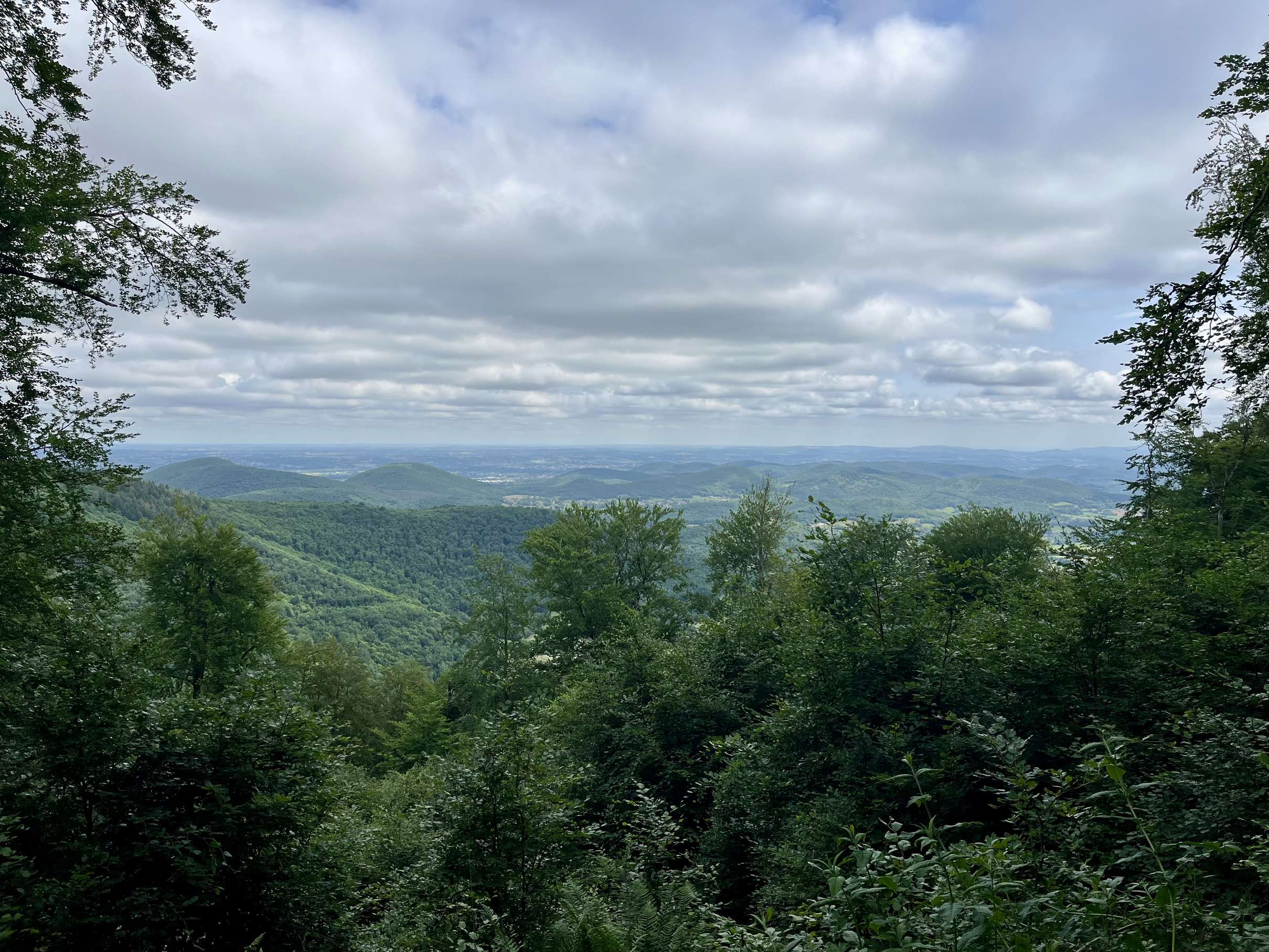 Une fenêtre paysagère