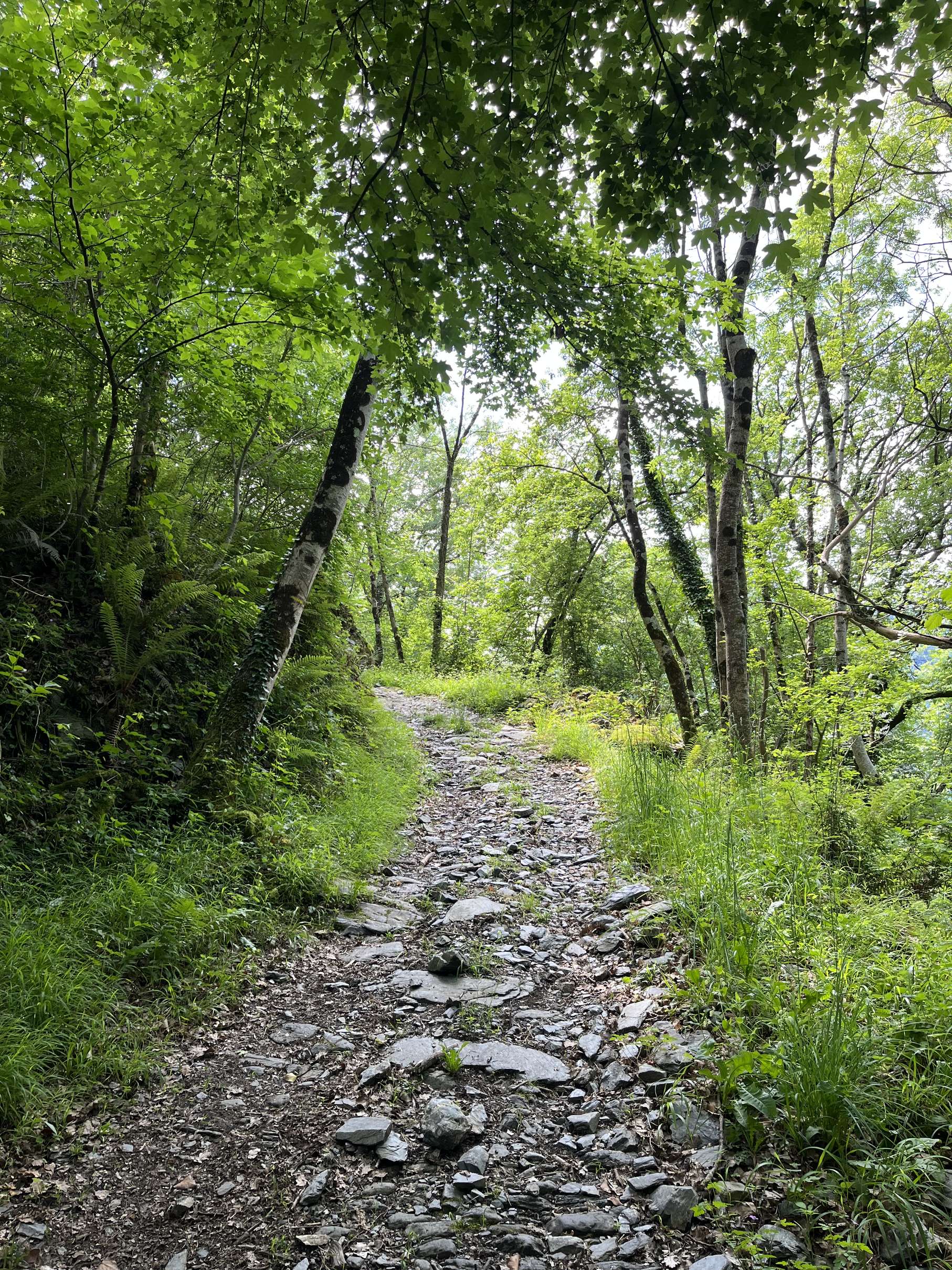 Sur le sentier du Tour de Fronsac